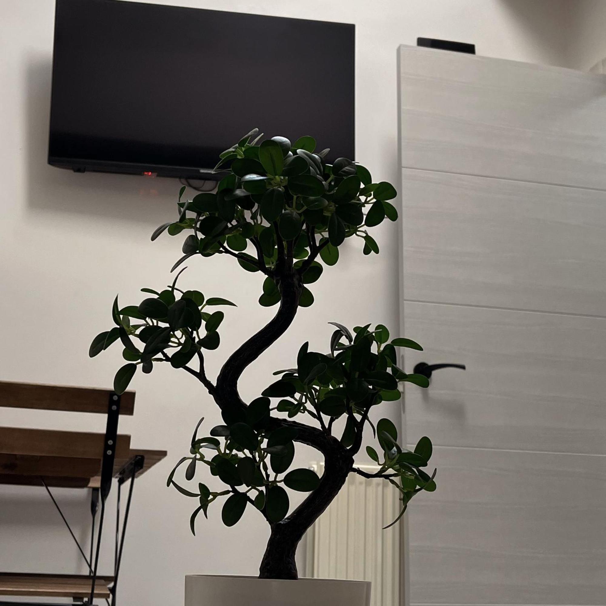 Apartamento Calera Burgo Exteriör bild